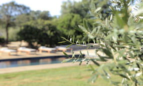 Installation Piscines Coques Polyester Piscines En Corse9